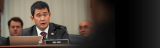 Committees/Caucuses